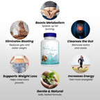 15 Day Cleanse Gut Support