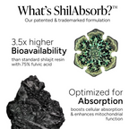 Shilajit Alpha Gummies Buy 1 Get 1 Free