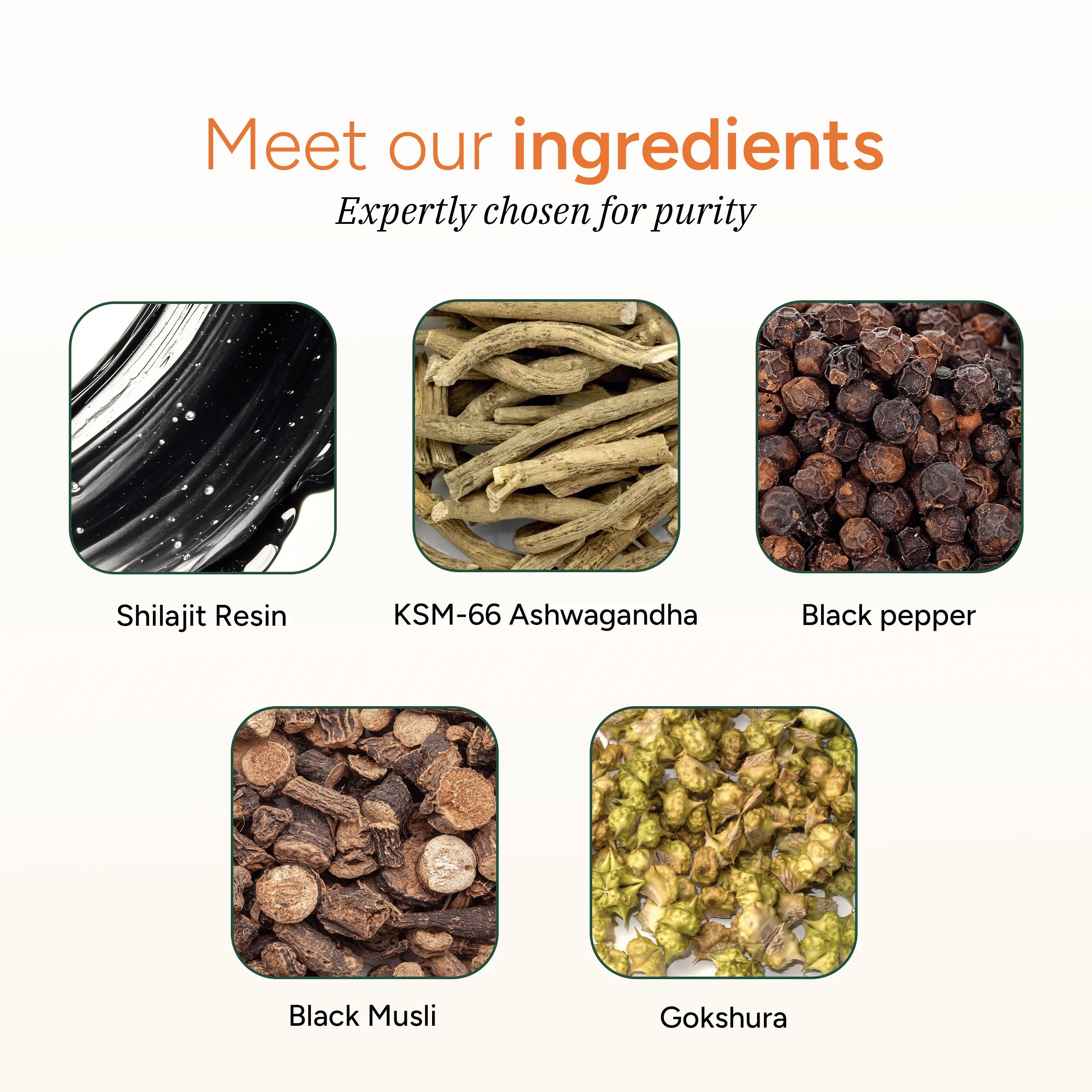 Root Labs Shilajit Gummies